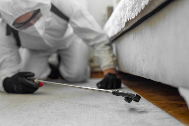 Professional Bed Bug Control technician working in Sierra County County, NM